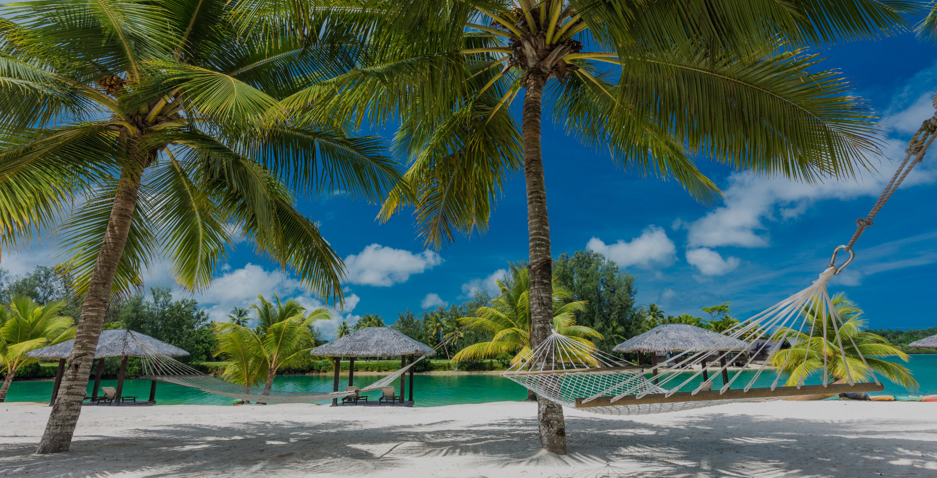 palm-trees-and-hammock-on-a-tropical-beach-island